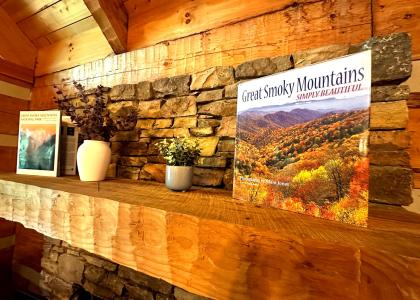 Close-up of the stone fireplace mantel at Nestled Oaks cabin in Sevierville, TN, featuring Great Smoky Mountains books, natural wood textures, and cozy cabin décor.